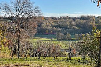 Rustico-casolare-cascina in vendita