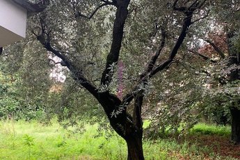 Unifamiliare casa singola in vendita